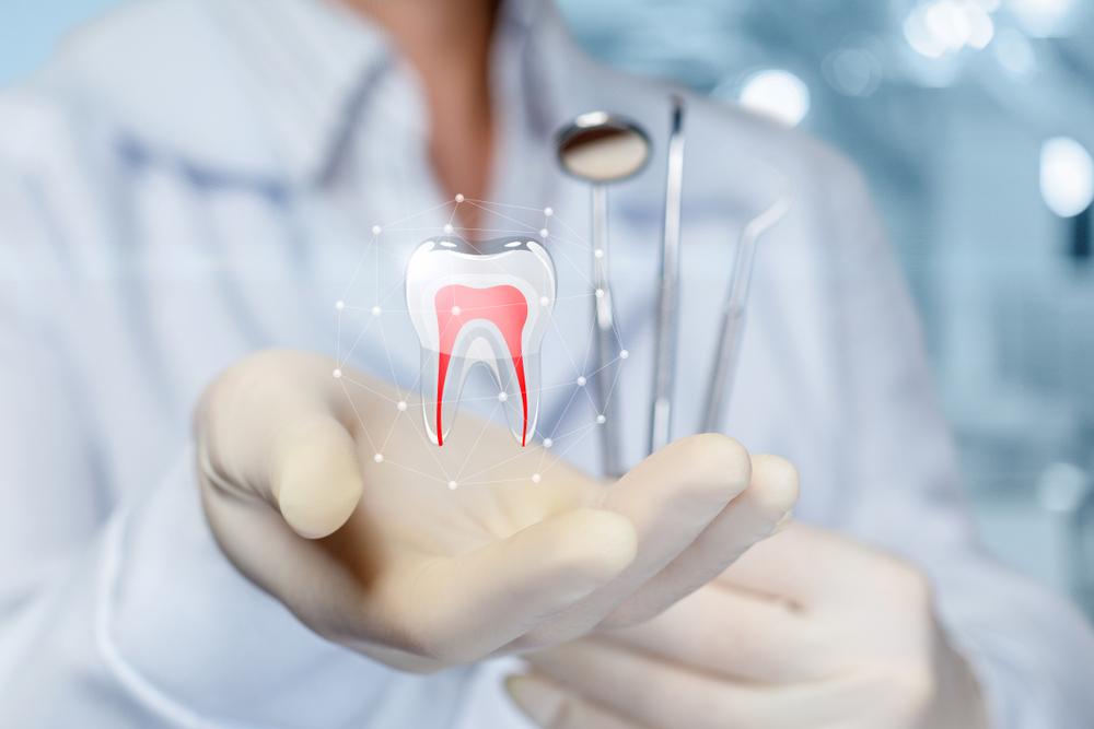Dentist holding concept tooth